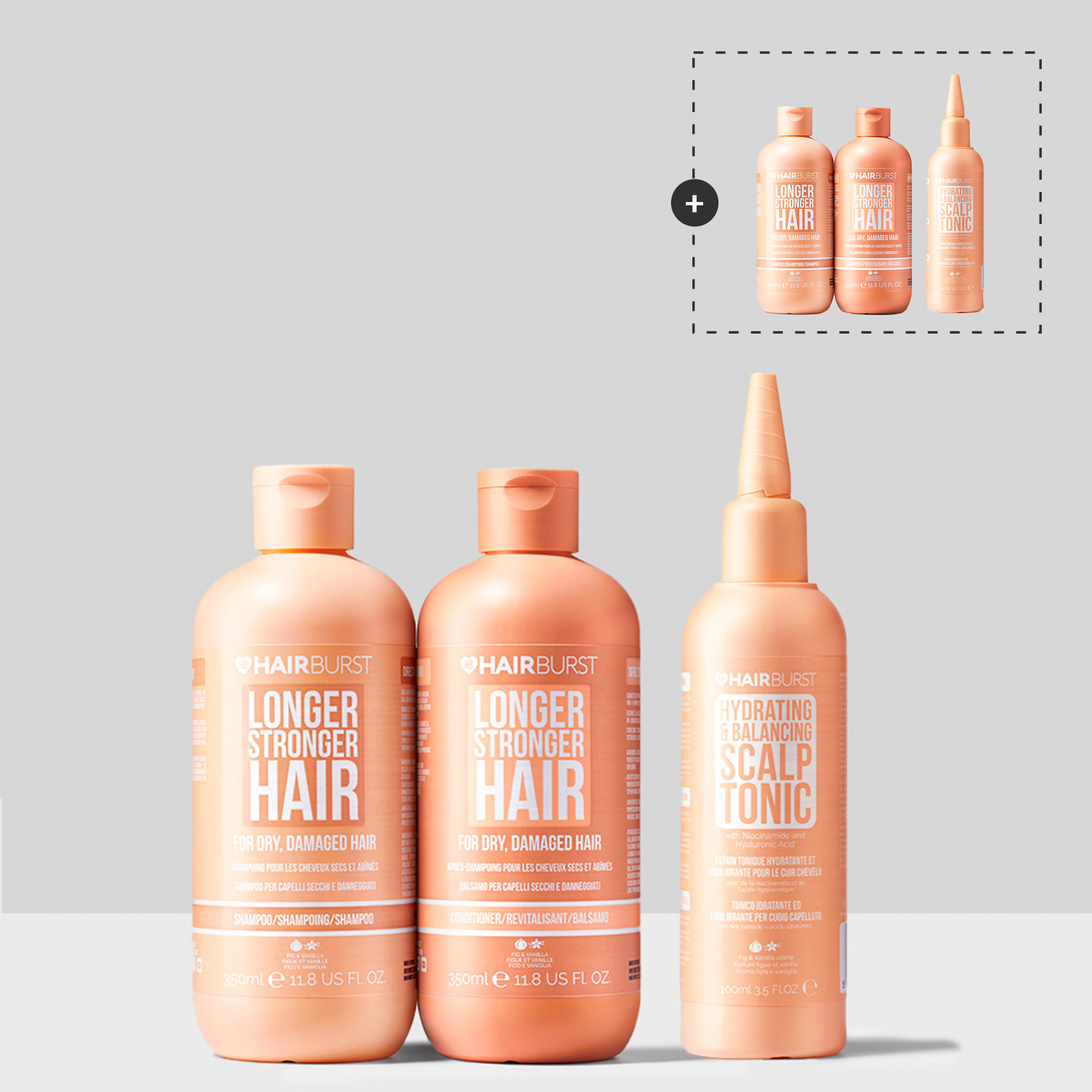 Obnova a sila (pre suché a poškodené vlasy)